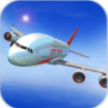 印度航班飞行模拟