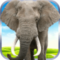 大象野外生存模拟