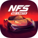 NFS无限制v5.8.0