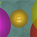细胞iov1.1