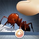 蚂蚁中毒v1.0.0.3