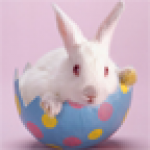 兔子拼图v2.9.11