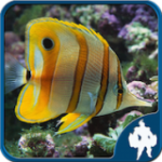 海洋鱼类拼图游戏v1.6.1