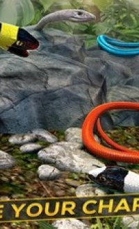 丛林蛇生存自由赛跑v1.6.2