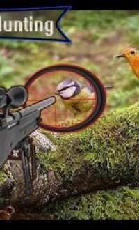 森林鸟狩猎v1.0