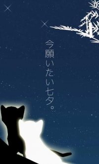 小猫与七夕之夜v1.0