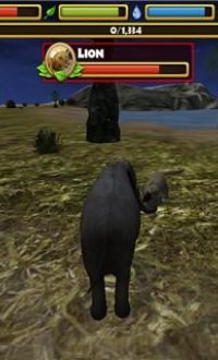 大象野外生存模拟v2.1