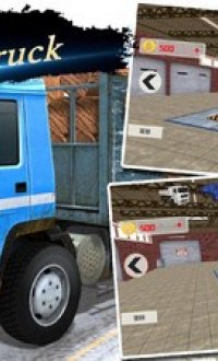 疯狂的卡车模拟器v1.0.6