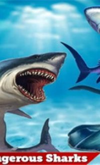 烈鲨袭击v1.0