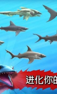 饥饿的鲨鱼进化v2.8.5
