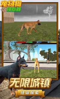 宠物狗模拟器v1.2