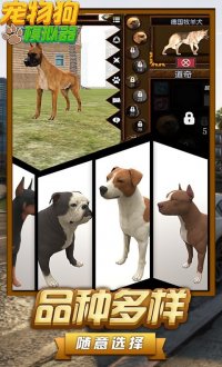 宠物狗模拟器v1.2