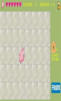猪猪逃亡v1.0