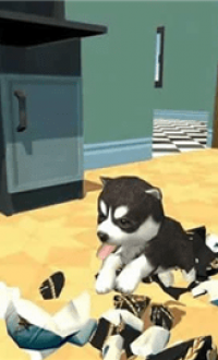 模拟小狗生活游戏v1.020