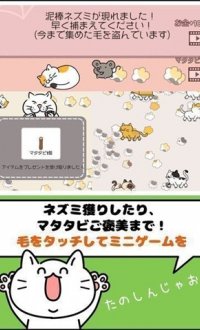 毛团猫太郎v1.0.6